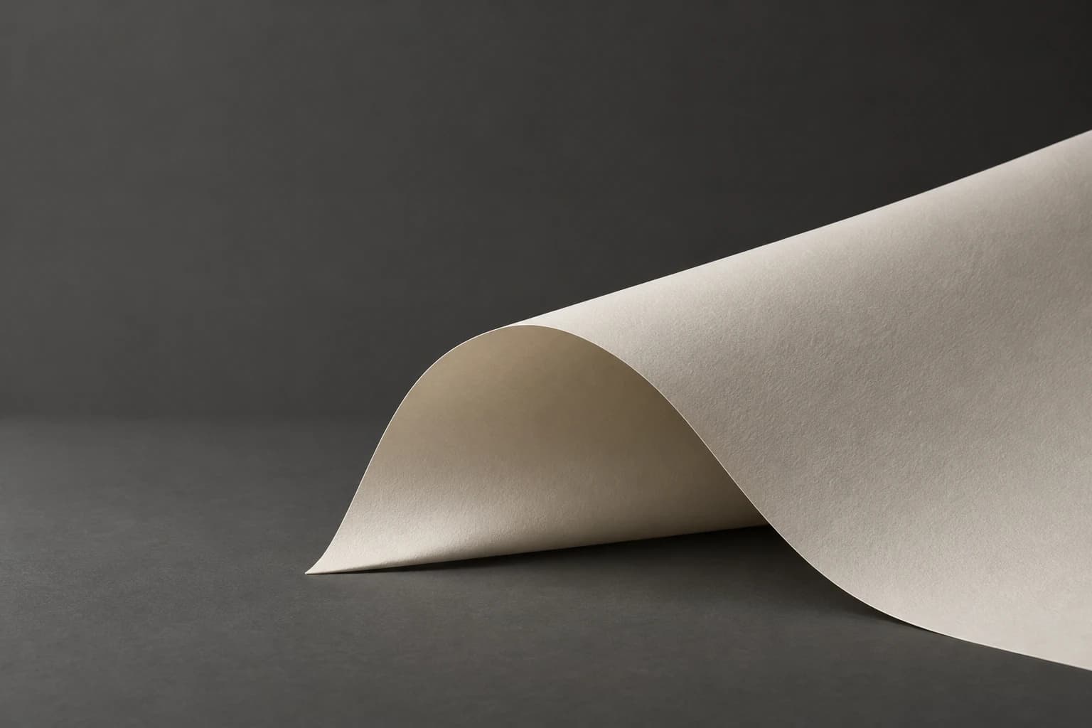 A single ivory paper sheet curved against a charcoal background.