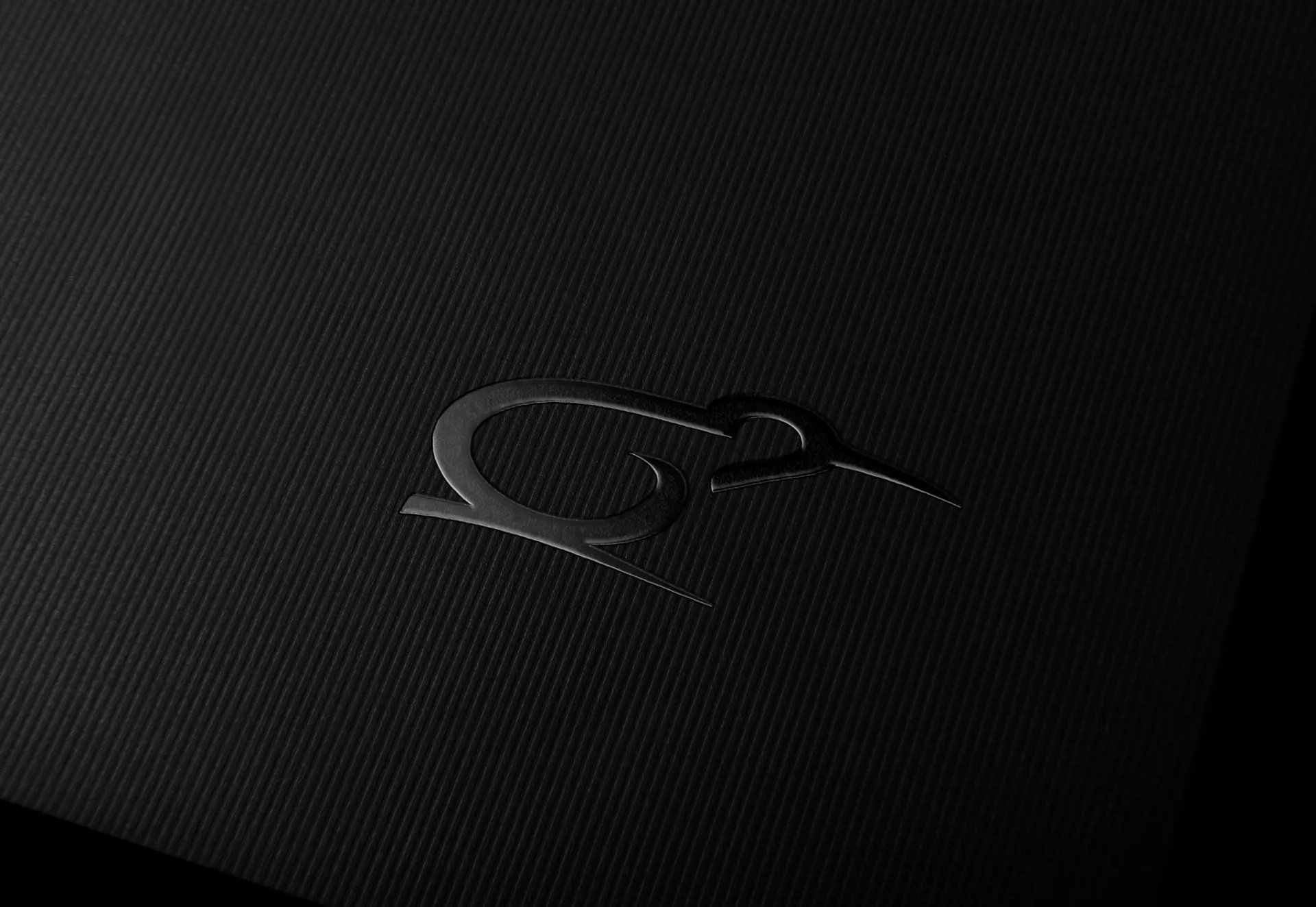 The Giltrap kiwi emblem on carbon fibre.